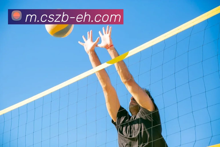 彩神争霸服务体系